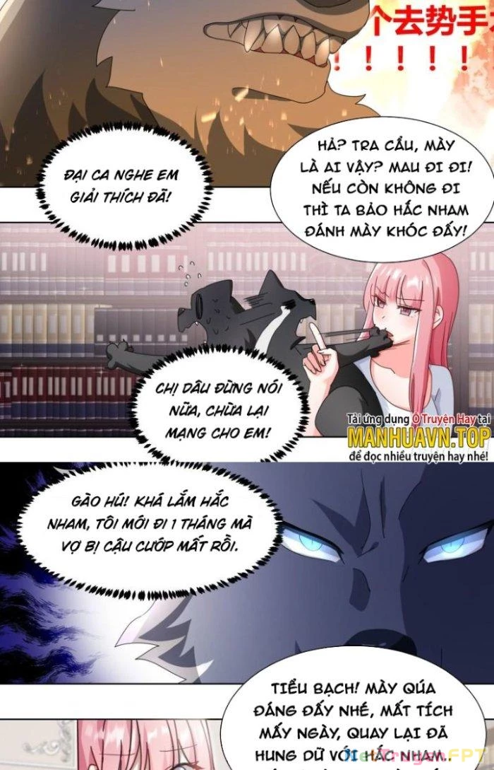 Trọng Sinh Thành Chó Của Nữ Thần Chapter 280 - Trang 2