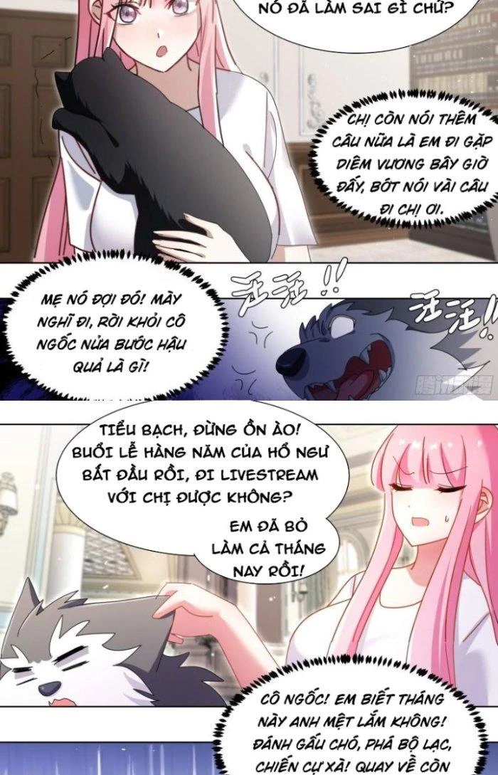Trọng Sinh Thành Chó Của Nữ Thần Chapter 280 - Trang 2