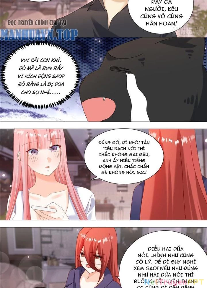 Trọng Sinh Thành Chó Của Nữ Thần Chapter 369 - Trang 2