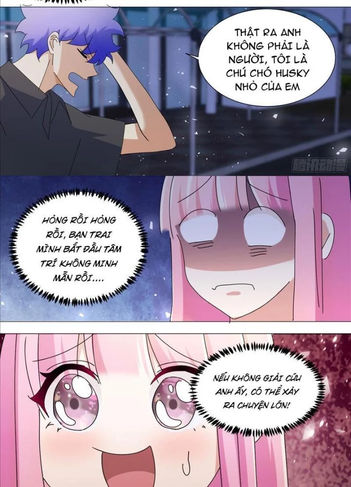 Trọng Sinh Thành Chó Của Nữ Thần Chapter 382 - Trang 2