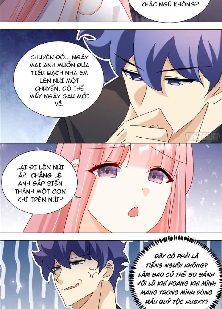 Trọng Sinh Thành Chó Của Nữ Thần Chapter 383 - Trang 2