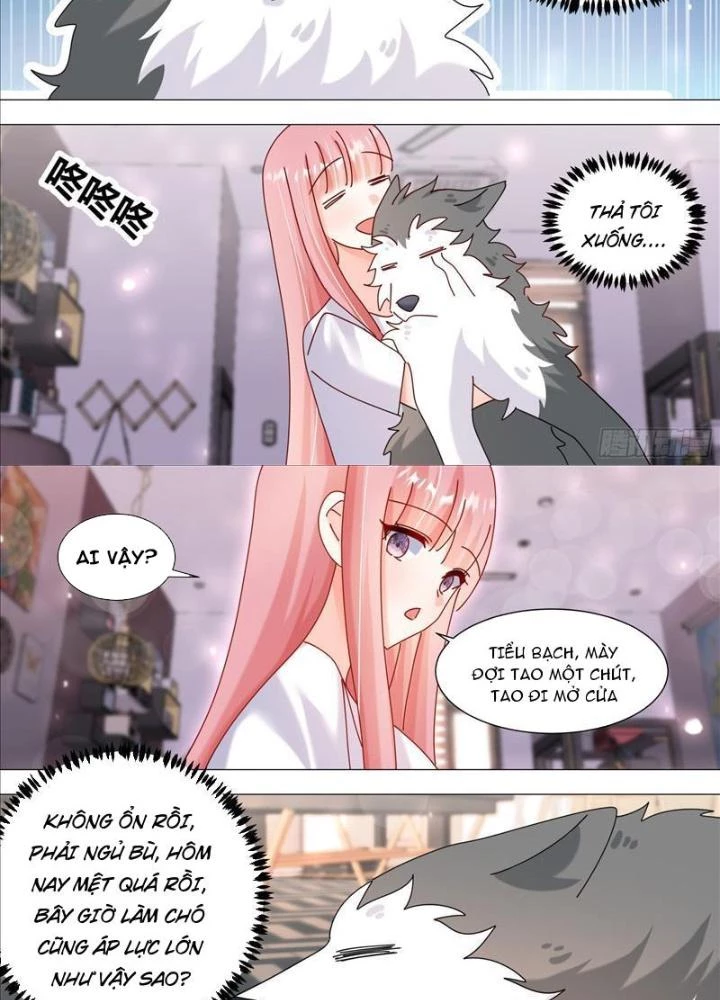Trọng Sinh Thành Chó Của Nữ Thần Chapter 385 - Trang 2