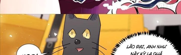 Trọng Sinh Thành Chó Của Nữ Thần Chapter 386 - Trang 2