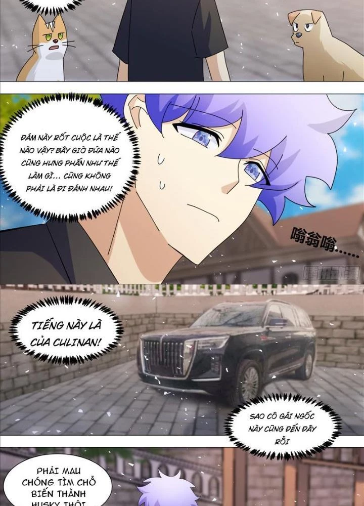 Trọng Sinh Thành Chó Của Nữ Thần Chapter 386 - Trang 2