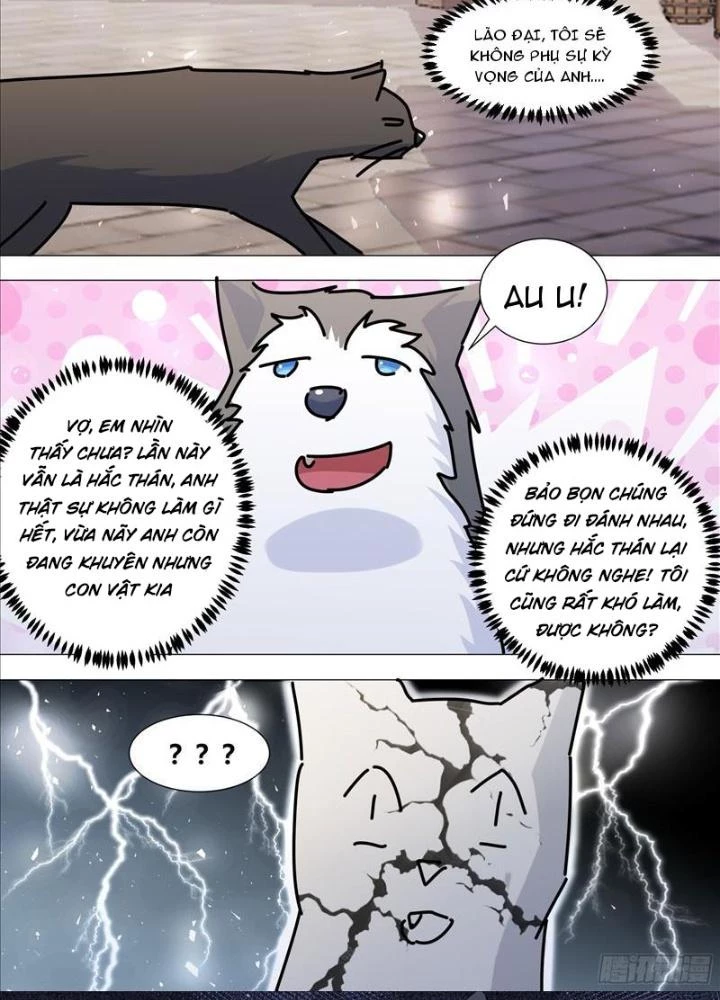 Trọng Sinh Thành Chó Của Nữ Thần Chapter 386 - Trang 2