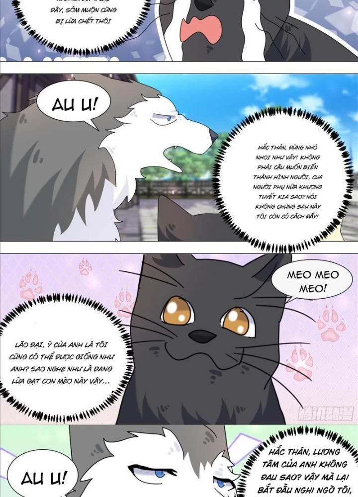 Trọng Sinh Thành Chó Của Nữ Thần Chapter 387 - Trang 2