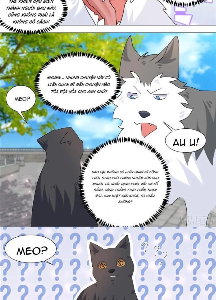 Trọng Sinh Thành Chó Của Nữ Thần Chapter 387 - Trang 2