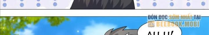 Trọng Sinh Thành Chó Của Nữ Thần Chapter 387 - Trang 2