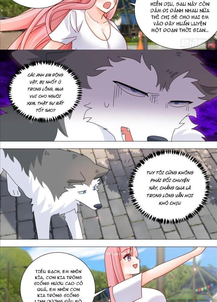Trọng Sinh Thành Chó Của Nữ Thần Chapter 387 - Trang 2