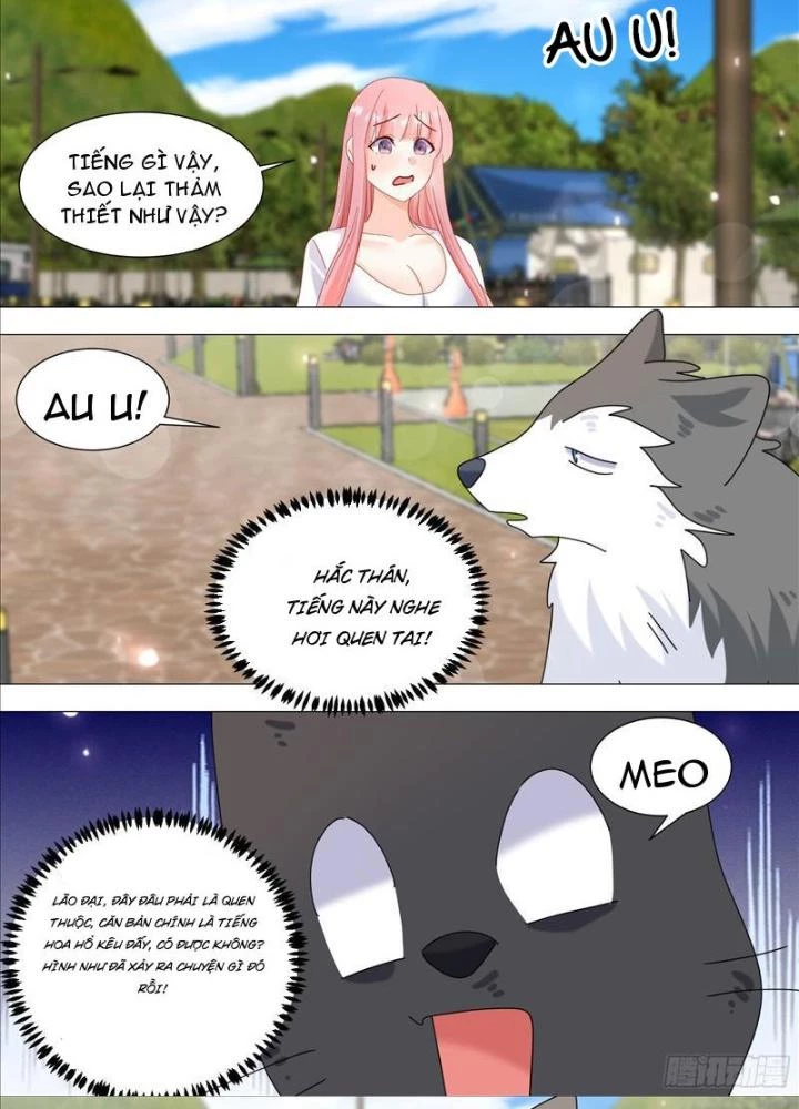 Trọng Sinh Thành Chó Của Nữ Thần Chapter 387 - Trang 2
