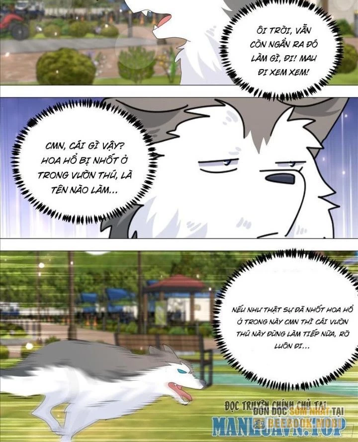 Trọng Sinh Thành Chó Của Nữ Thần Chapter 387 - Trang 2