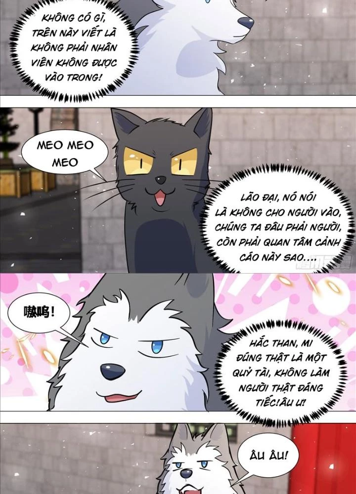 Trọng Sinh Thành Chó Của Nữ Thần Chapter 388 - Trang 2