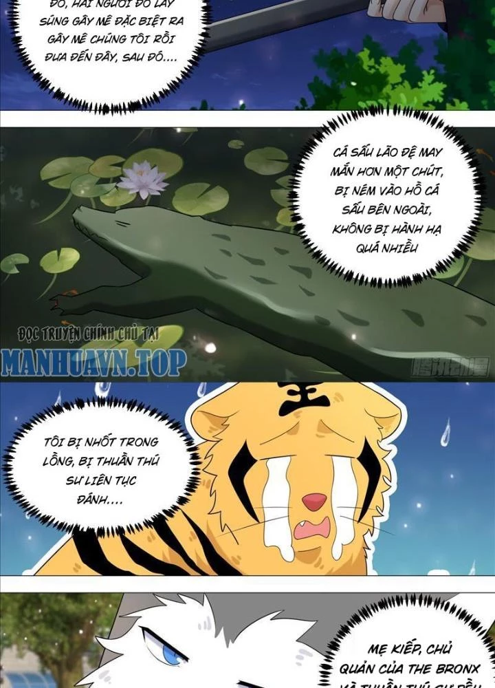 Trọng Sinh Thành Chó Của Nữ Thần Chapter 389 - Trang 2