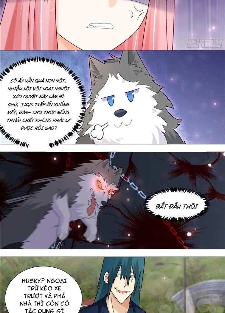 Trọng Sinh Thành Chó Của Nữ Thần Chapter 389 - Trang 2