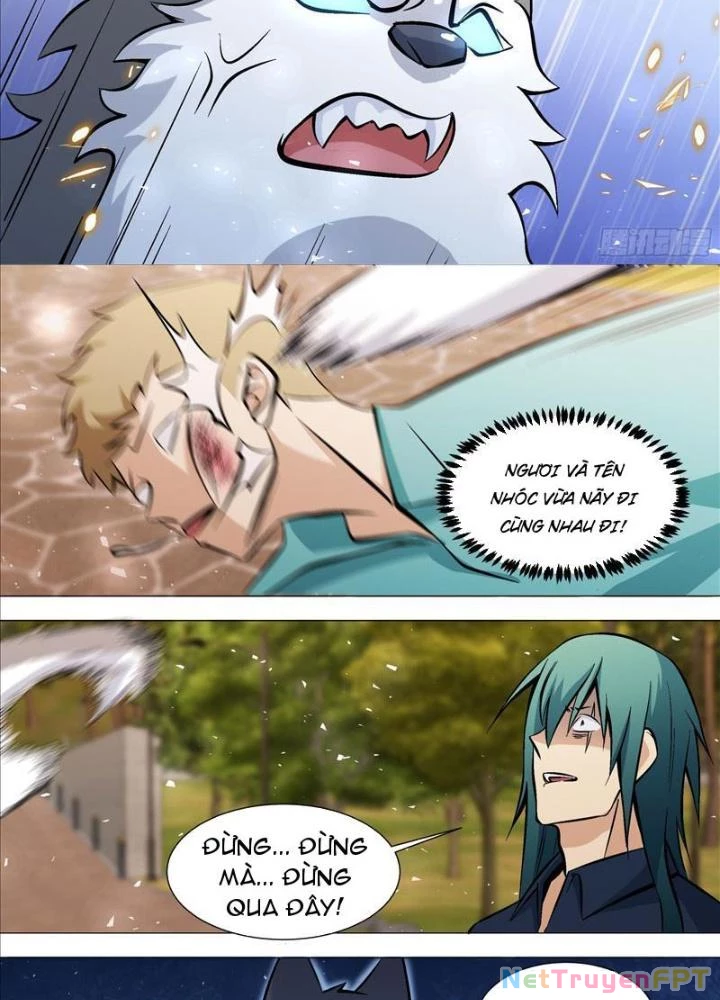 Trọng Sinh Thành Chó Của Nữ Thần Chapter 390 - Trang 2