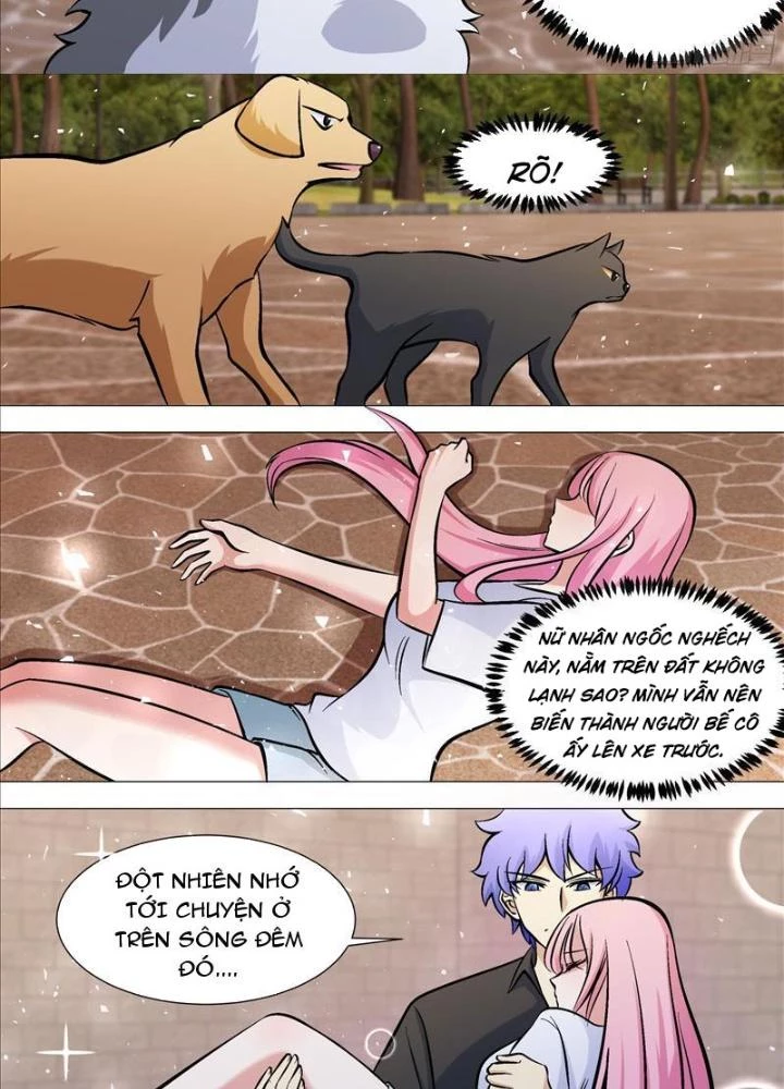Trọng Sinh Thành Chó Của Nữ Thần Chapter 390 - Trang 2