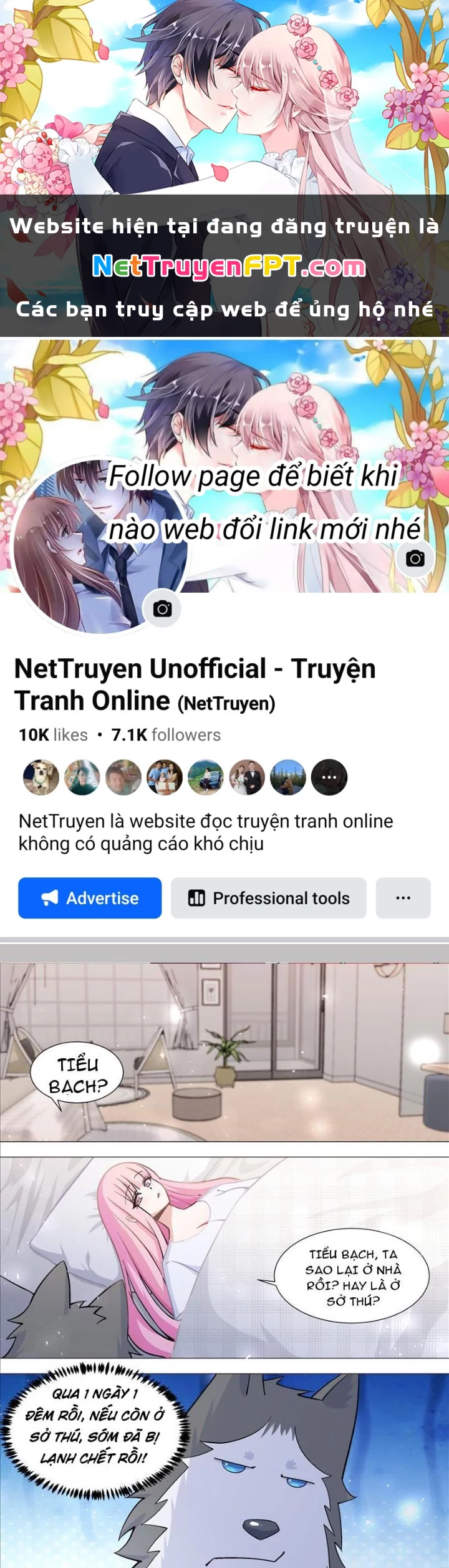 Trọng Sinh Thành Chó Của Nữ Thần Chapter 392 - Trang 2