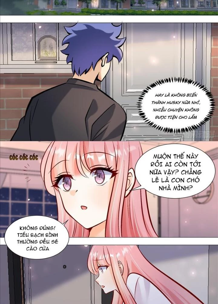 Trọng Sinh Thành Chó Của Nữ Thần Chapter 393 - Trang 2