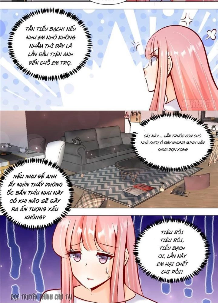 Trọng Sinh Thành Chó Của Nữ Thần Chapter 393 - Trang 2