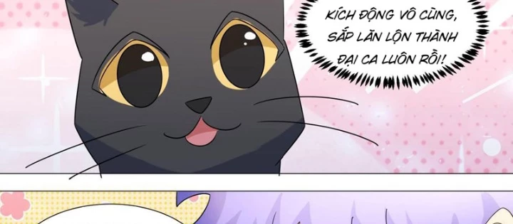 Trọng Sinh Thành Chó Của Nữ Thần Chapter 396 - Trang 2