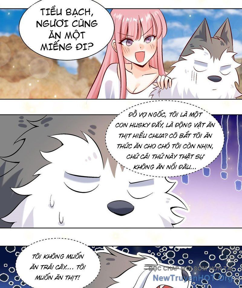 Trọng Sinh Thành Chó Của Nữ Thần Chapter 409 - Trang 2