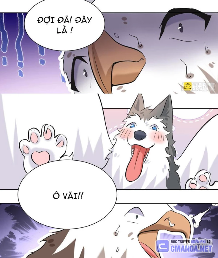 Trọng Sinh Thành Chó Của Nữ Thần Chapter 410 - Trang 2
