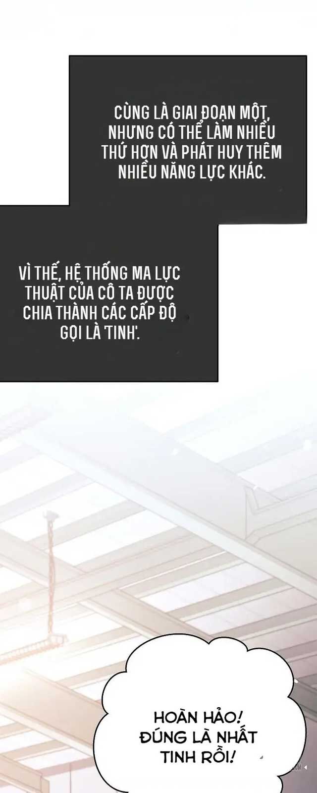 Đứa Con Ngoài Giá Thú Có Khả Năng Hấp Thụ Vũ Khí Chapter 8 - Trang 2