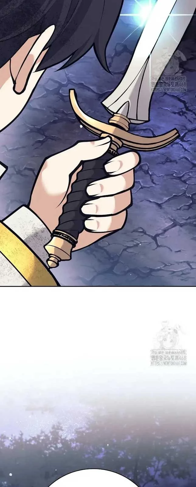 Đứa Con Ngoài Giá Thú Có Khả Năng Hấp Thụ Vũ Khí Chapter 13 - Trang 2