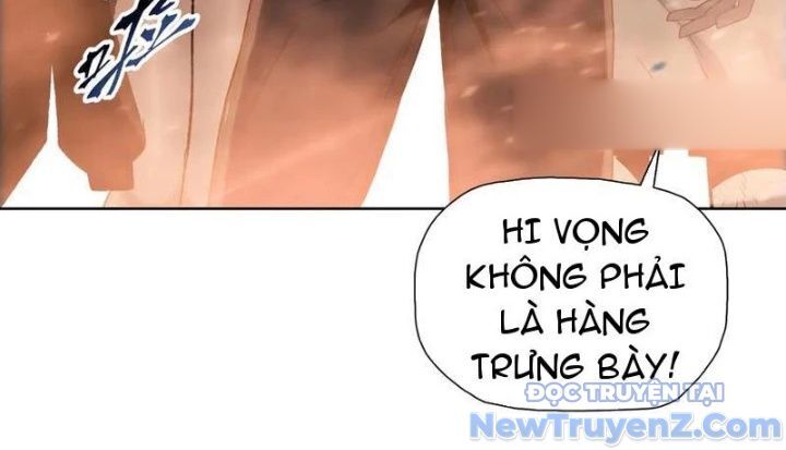 Kẻ Tàn Nhẫn Ngày Tận Thế: Bắt Đầu Dự Trữ Hàng Tỷ Tấn Vật Tư Chapter 70 - Trang 2