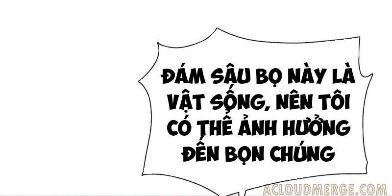 Kẻ Tàn Nhẫn Ngày Tận Thế: Bắt Đầu Dự Trữ Hàng Tỷ Tấn Vật Tư Chapter 75 - Trang 2