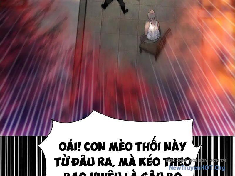 Kẻ Tàn Nhẫn Ngày Tận Thế: Bắt Đầu Dự Trữ Hàng Tỷ Tấn Vật Tư Chapter 75 - Trang 2