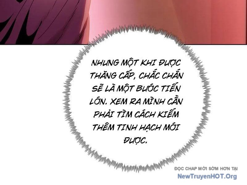 Kẻ Tàn Nhẫn Ngày Tận Thế: Bắt Đầu Dự Trữ Hàng Tỷ Tấn Vật Tư Chapter 79 - Trang 2