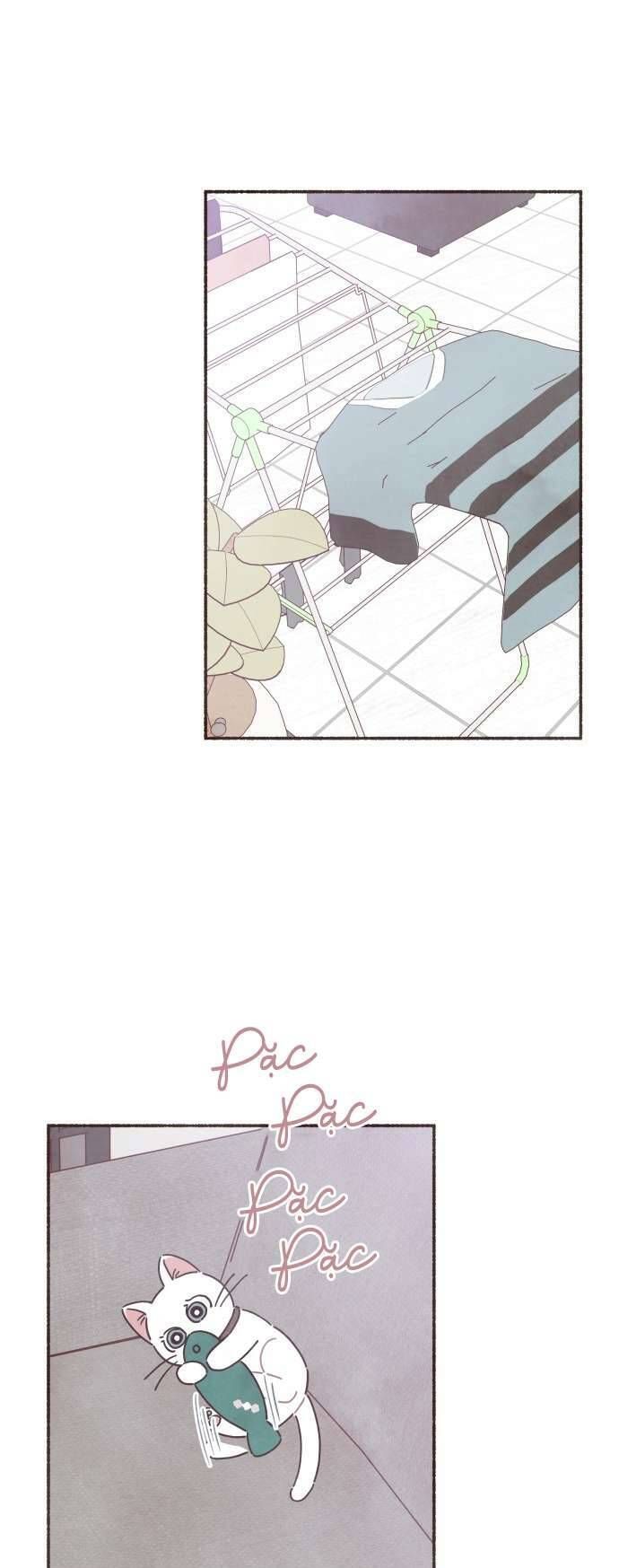 Cảm Xúc Chuyển Giao Chapter 23 - Trang 2