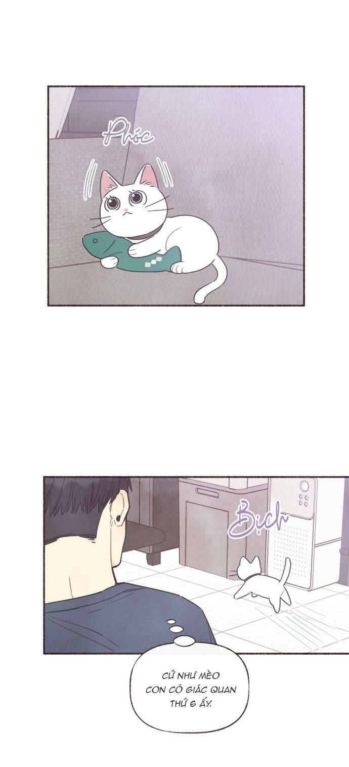 Cảm Xúc Chuyển Giao Chapter 23 - Trang 2