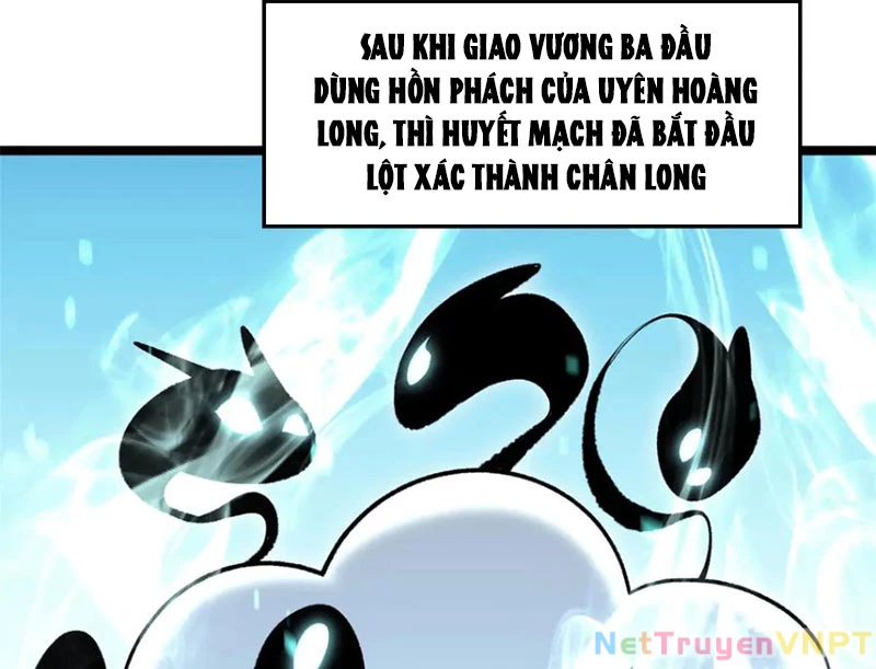 Đỉnh Cấp Khí Vận, Lặng Lẽ Tu Luyện Ngàn Năm Chapter 212 - Trang 2