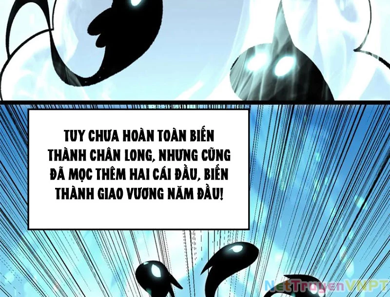 Đỉnh Cấp Khí Vận, Lặng Lẽ Tu Luyện Ngàn Năm Chapter 212 - Trang 2