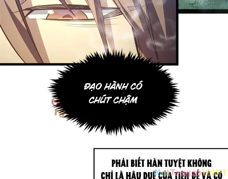 Đỉnh Cấp Khí Vận, Lặng Lẽ Tu Luyện Ngàn Năm Chapter 213 - Trang 2