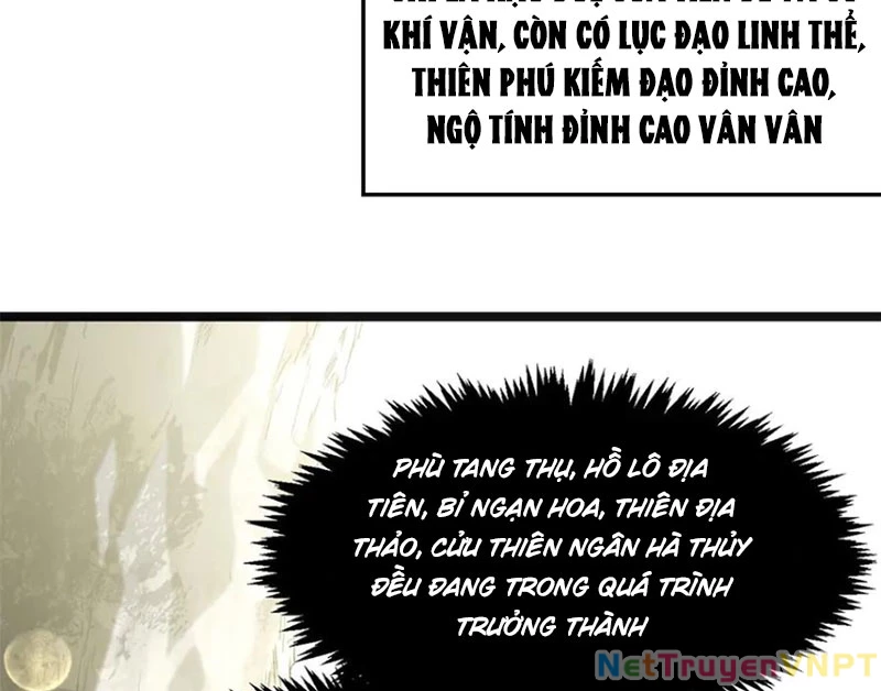 Đỉnh Cấp Khí Vận, Lặng Lẽ Tu Luyện Ngàn Năm Chapter 213 - Trang 2
