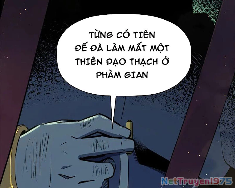 Đỉnh Cấp Khí Vận, Lặng Lẽ Tu Luyện Ngàn Năm Chapter 215 - Trang 2