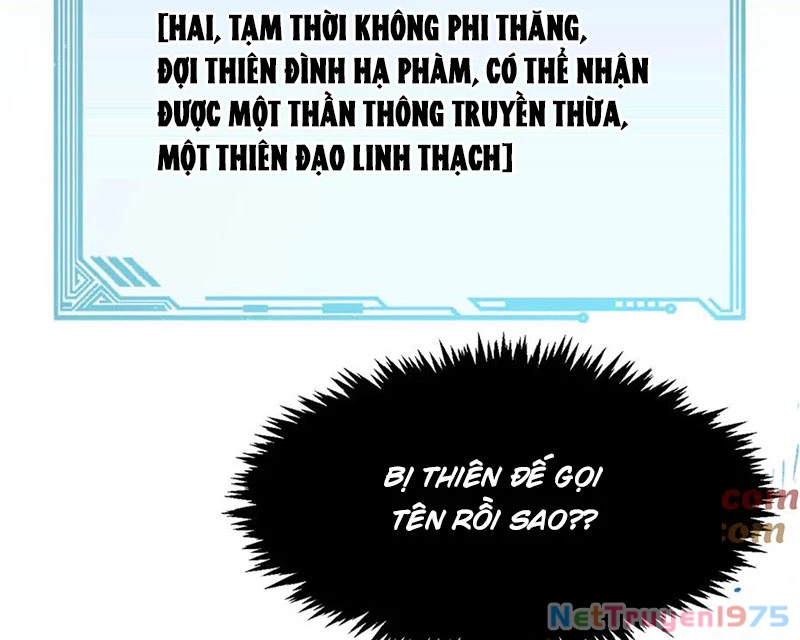 Đỉnh Cấp Khí Vận, Lặng Lẽ Tu Luyện Ngàn Năm Chapter 215 - Trang 2