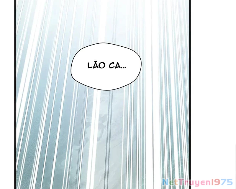 Đỉnh Cấp Khí Vận, Lặng Lẽ Tu Luyện Ngàn Năm Chapter 215 - Trang 2