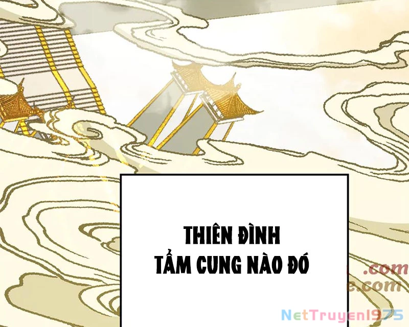 Đỉnh Cấp Khí Vận, Lặng Lẽ Tu Luyện Ngàn Năm Chapter 215 - Trang 2