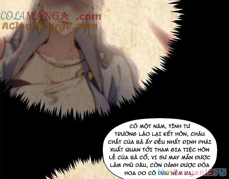 Đỉnh Cấp Khí Vận, Lặng Lẽ Tu Luyện Ngàn Năm Chapter 216 - Trang 2