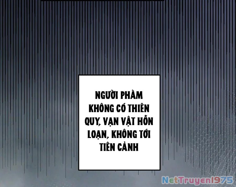 Đỉnh Cấp Khí Vận, Lặng Lẽ Tu Luyện Ngàn Năm Chapter 217 - Trang 2