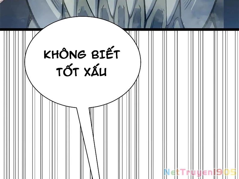 Đỉnh Cấp Khí Vận, Lặng Lẽ Tu Luyện Ngàn Năm Chapter 219 - Trang 2