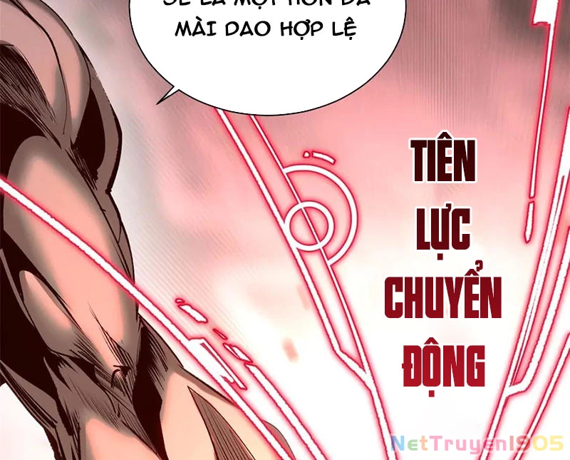 Đỉnh Cấp Khí Vận, Lặng Lẽ Tu Luyện Ngàn Năm Chapter 221 - Trang 2