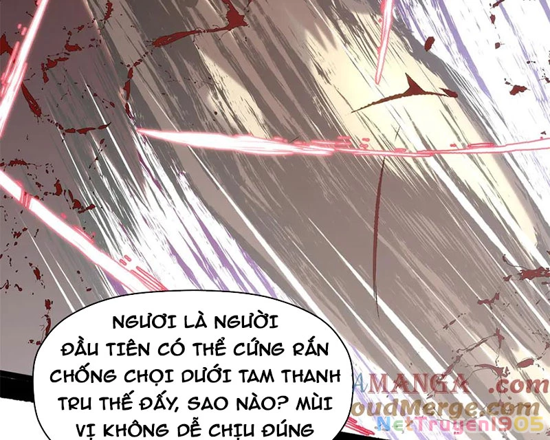 Đỉnh Cấp Khí Vận, Lặng Lẽ Tu Luyện Ngàn Năm Chapter 222 - Trang 2
