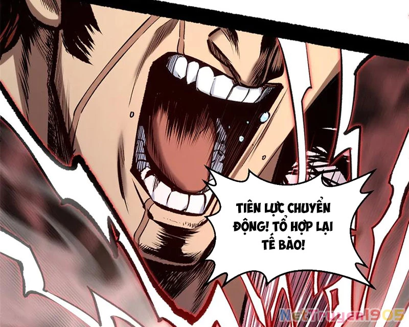 Đỉnh Cấp Khí Vận, Lặng Lẽ Tu Luyện Ngàn Năm Chapter 222 - Trang 2
