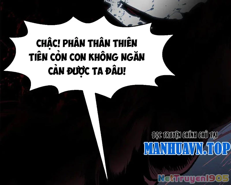 Đỉnh Cấp Khí Vận, Lặng Lẽ Tu Luyện Ngàn Năm Chapter 222 - Trang 2