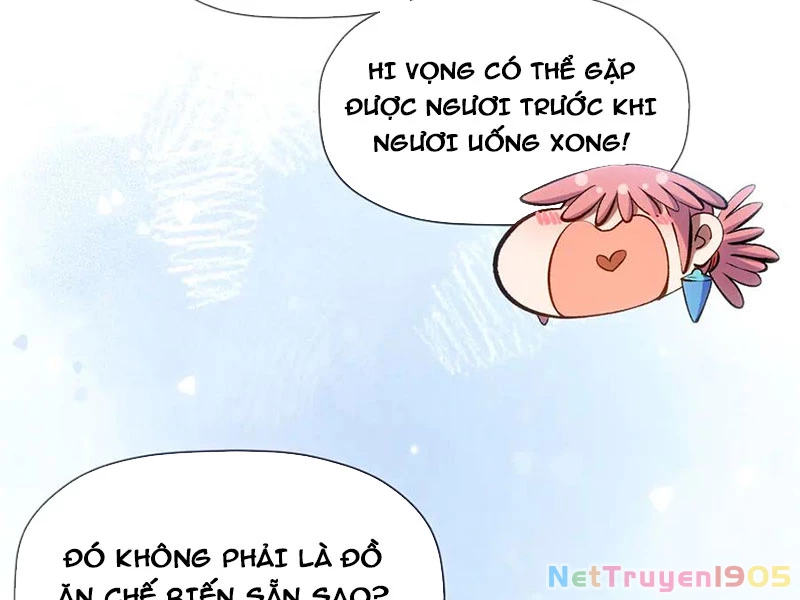 Đỉnh Cấp Khí Vận, Lặng Lẽ Tu Luyện Ngàn Năm Chapter 226 - Trang 2